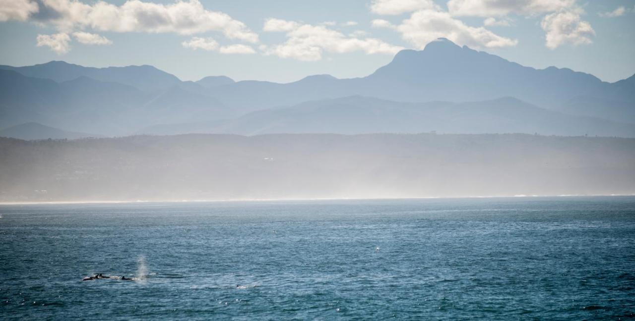 Panoramic Blue B&B Plettenberg Bay Εξωτερικό φωτογραφία