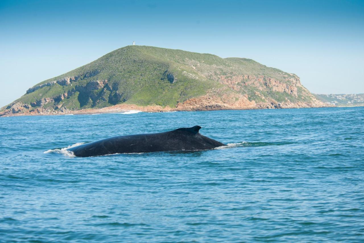Panoramic Blue B&B Plettenberg Bay Εξωτερικό φωτογραφία